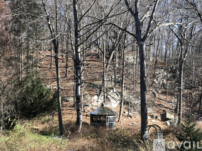 A small gazebo sits in the middle of a forest.
