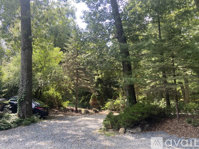 A gravel path leads through a wooded area.