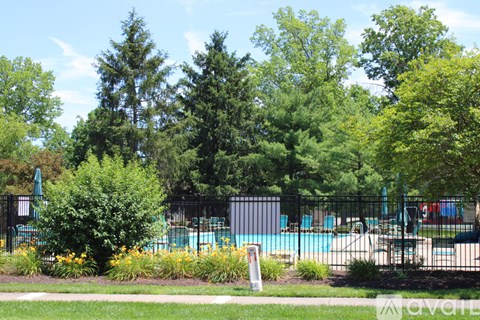 A pool surrounded by trees and plants.