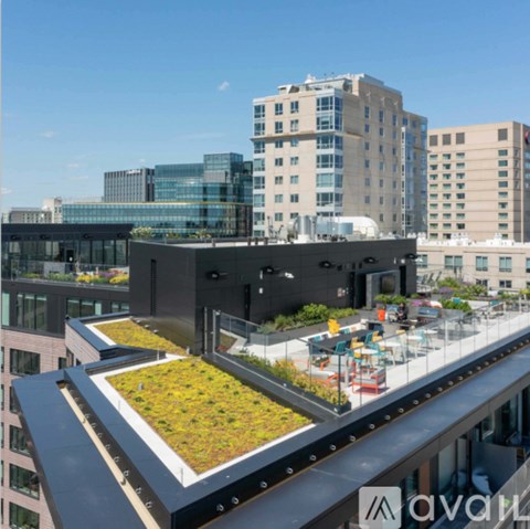 899 Congress St Studio Apartment for Rent