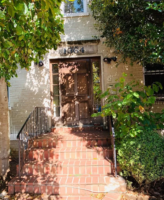 A set of stairs leads up to a door under a tree.