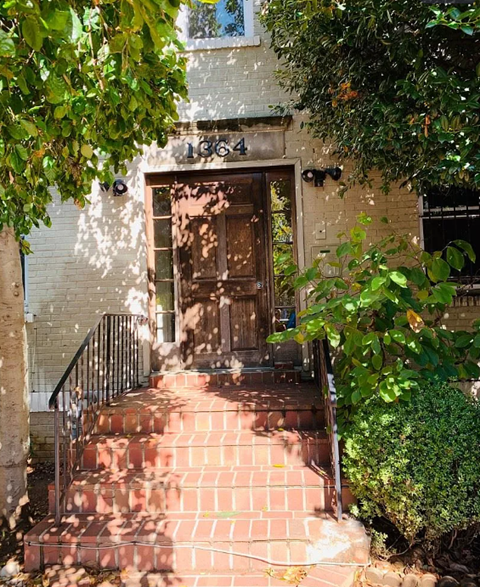 A set of stairs leads up to a door under a tree.