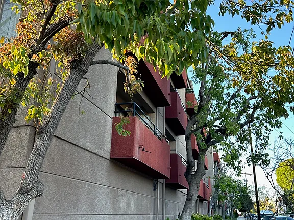 A tree with green leaves is in front of a grey building with red balconies.