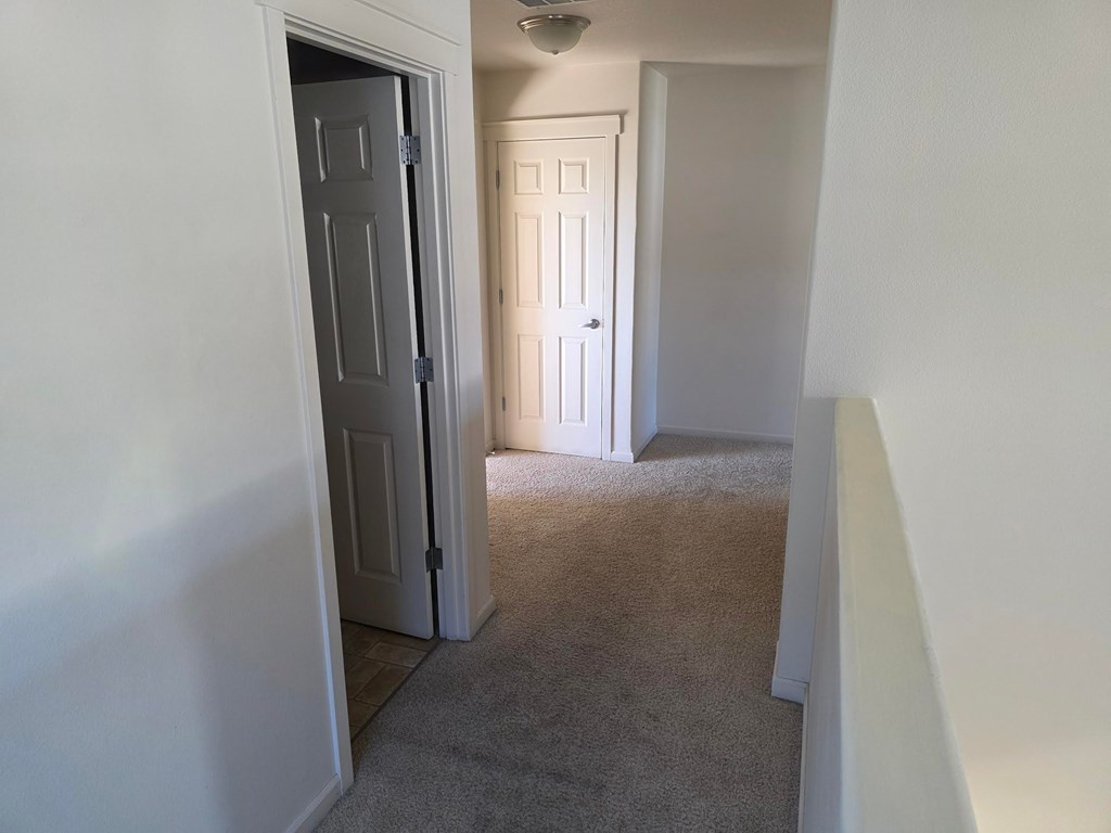 A hallway with a carpeted floor and two doors.