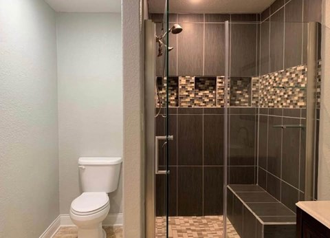 A bathroom with a toilet and a walk in shower.