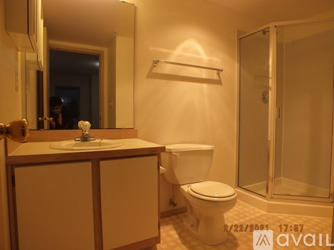 A bathroom with a toilet, sink, mirror, and shower.