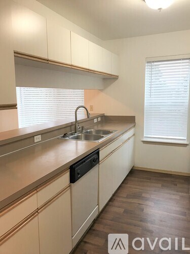 A kitchen with a sink and a window.
