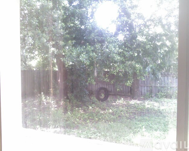 A tree is visible through a window.