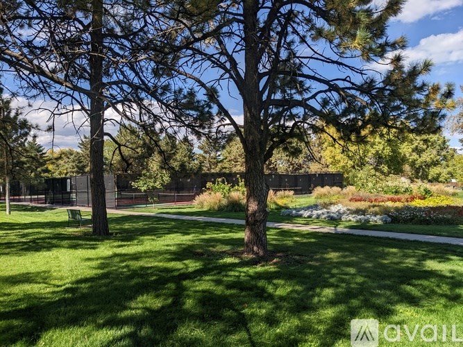 A tree in a grassy area with a fence in the background.