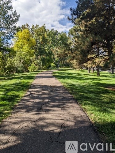 A tree-lined path in a park.