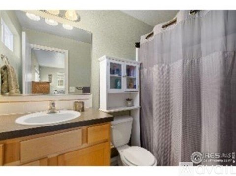 A bathroom with a sink, toilet, and shower curtain.
