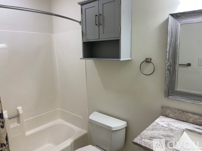 A bathroom with a toilet, a tub, and a mirror.