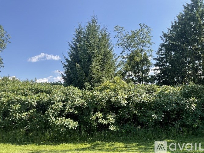 A wooden walkway with a railing runs parallel to a body of water.
