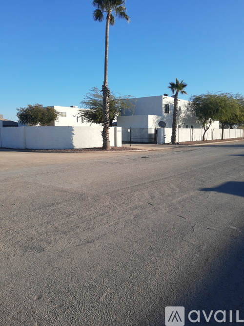 A white building with a palm tree in front of it.