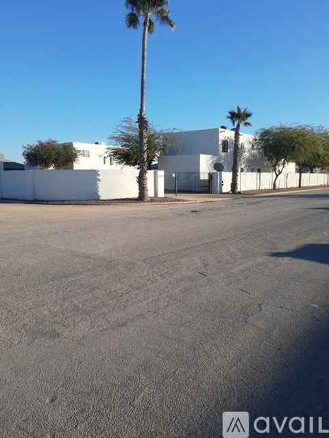 A white building with a palm tree in front of it.
