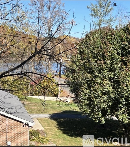 A tree with green leaves is in the foreground of a sunny day.