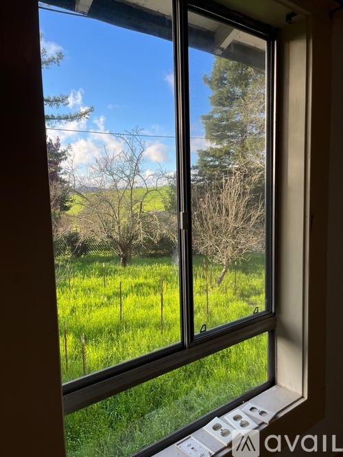 A window with a view of a field and trees.