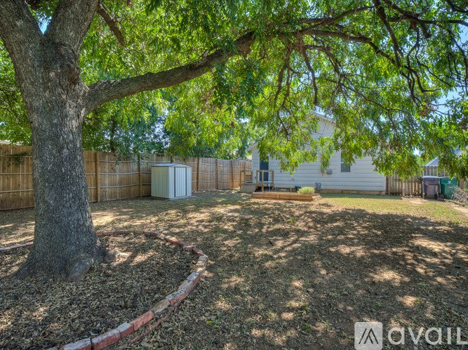 A backyard with a tree and a fence.