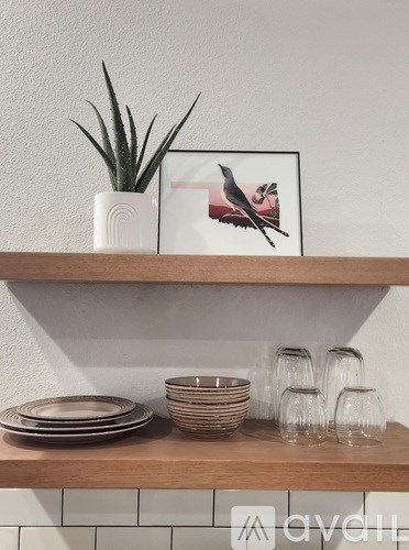 A shelf with a plant, a picture, and some dishes on it.