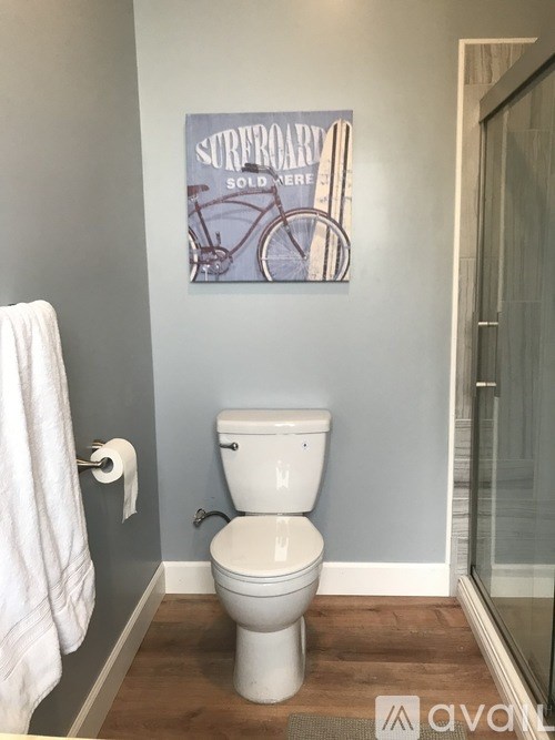 A white toilet in a bathroom with a Surfdog poster on the wall.