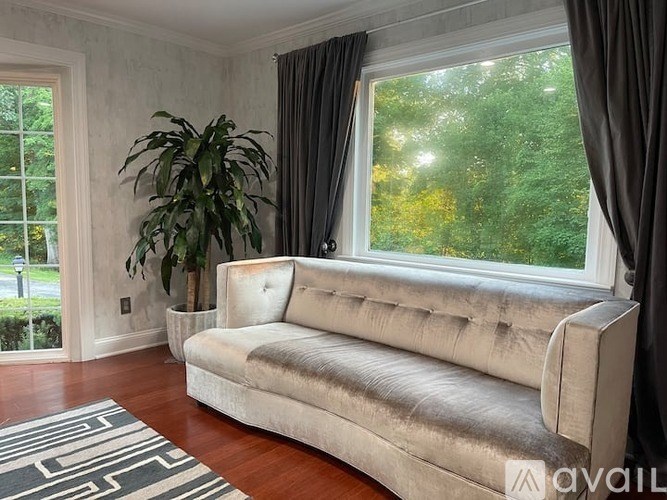 A living room with a couch, a rug, and a plant.