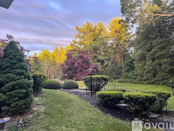 A garden with a variety of trees and shrubs.