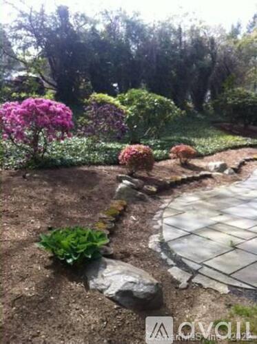 A garden with a stone path and a variety of plants.