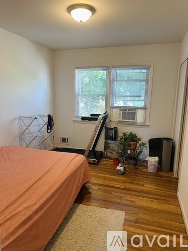 A bedroom with a bed, a window, a plant, and a rug.