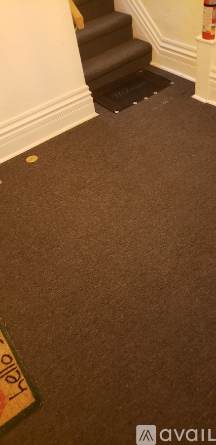 A staircase with a carpeted floor and a fire extinguisher on the wall.