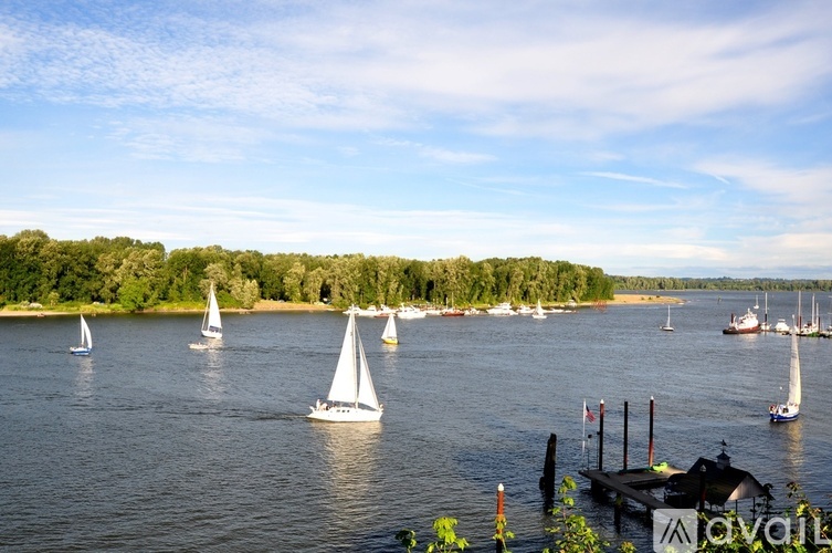 A group of sailboats are floating on a body of water.