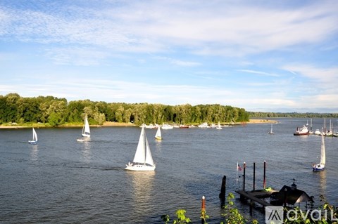 A group of sailboats are floating on a body of water.