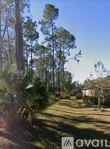 A sunny day in a residential area with trees and houses.