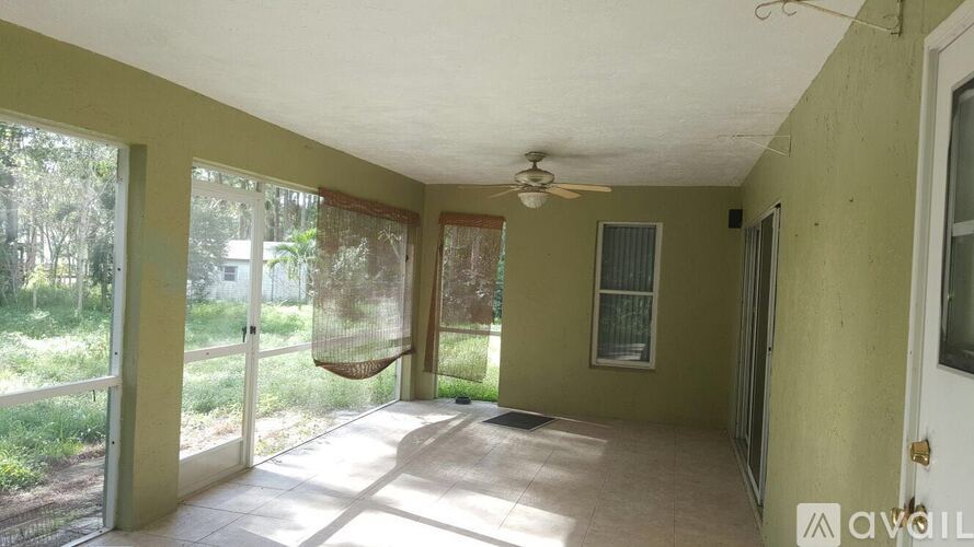 A room with a hammock in the middle of it.