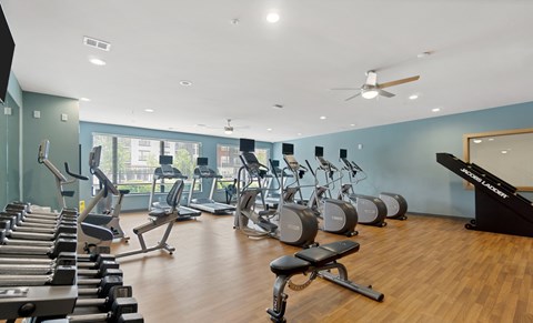 A gym with a variety of equipment including treadmills, stationary bikes, and weight machines.