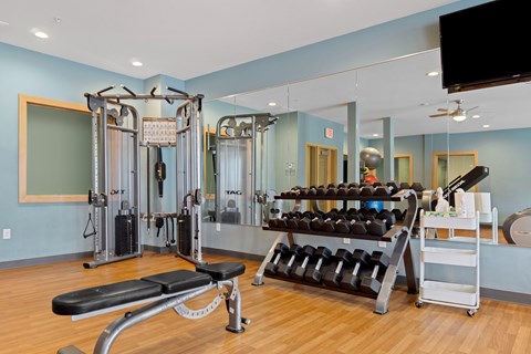 A gym with a variety of equipment including a bench press, a squat rack, and a leg press machine.