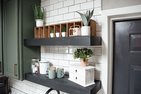 A shelf with plants and mugs on it.