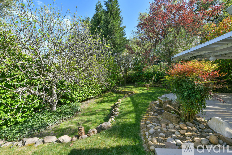 A backyard with a stone path and a variety of trees.