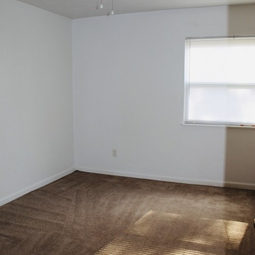 A room with a brown carpet and a window with blinds.
