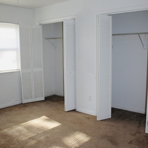 A room with white walls and a carpeted floor with sunlight shining through a window.
