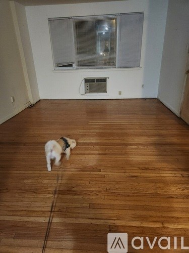 A dog is walking across a wooden floor in a room.