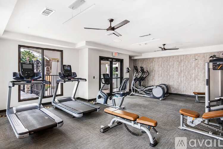 A gym with treadmills, elliptical machines, and weights.