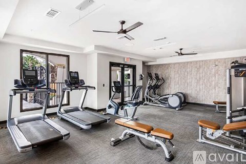 A gym with treadmills, elliptical machines, and weights.