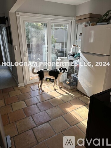 A dog is standing in a kitchen with a refrigerator and a window in the background.