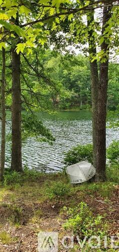 A serene lake surrounded by lush green trees.