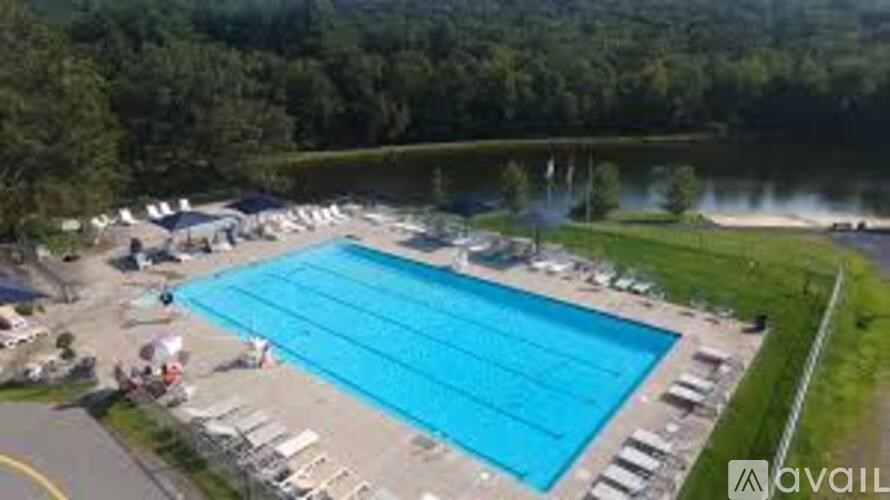 A large blue swimming pool surrounded by a grassy area and trees.