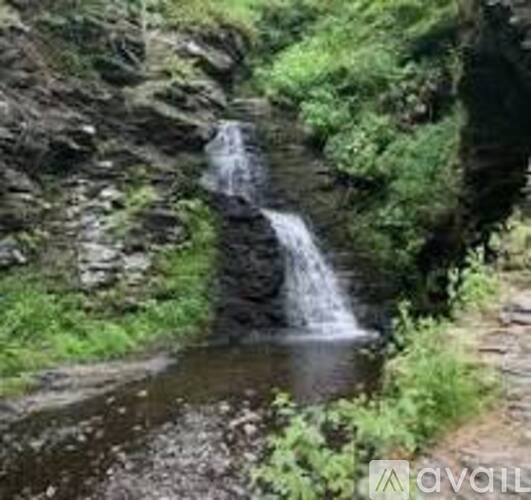 A small waterfall cascades into a pool in a lush green forest.