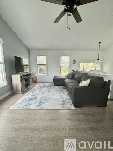A living room with a grey couch and a blue rug.