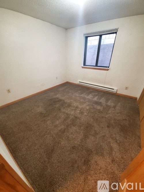 A room with a brown carpet and a window.