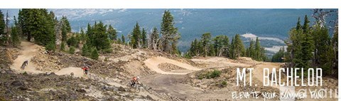 A mountain biker is riding on a trail with the words "M1 Bachelor" displayed on the image.