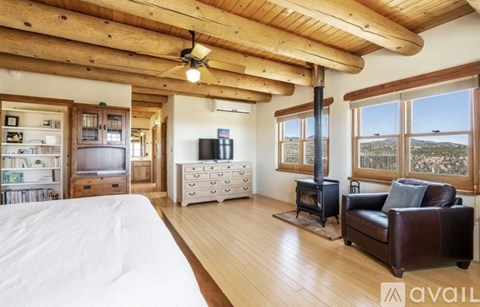 A bedroom with a large bed and a living area with a couch and a wood stove.